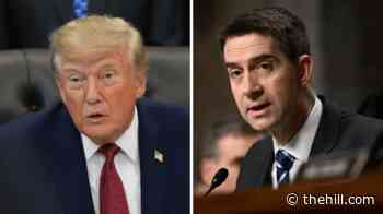 Trump, Cotton tussle over daylight savings after cell phone number leak