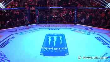 Prelim Results | UFC 332: Silva vs Wang