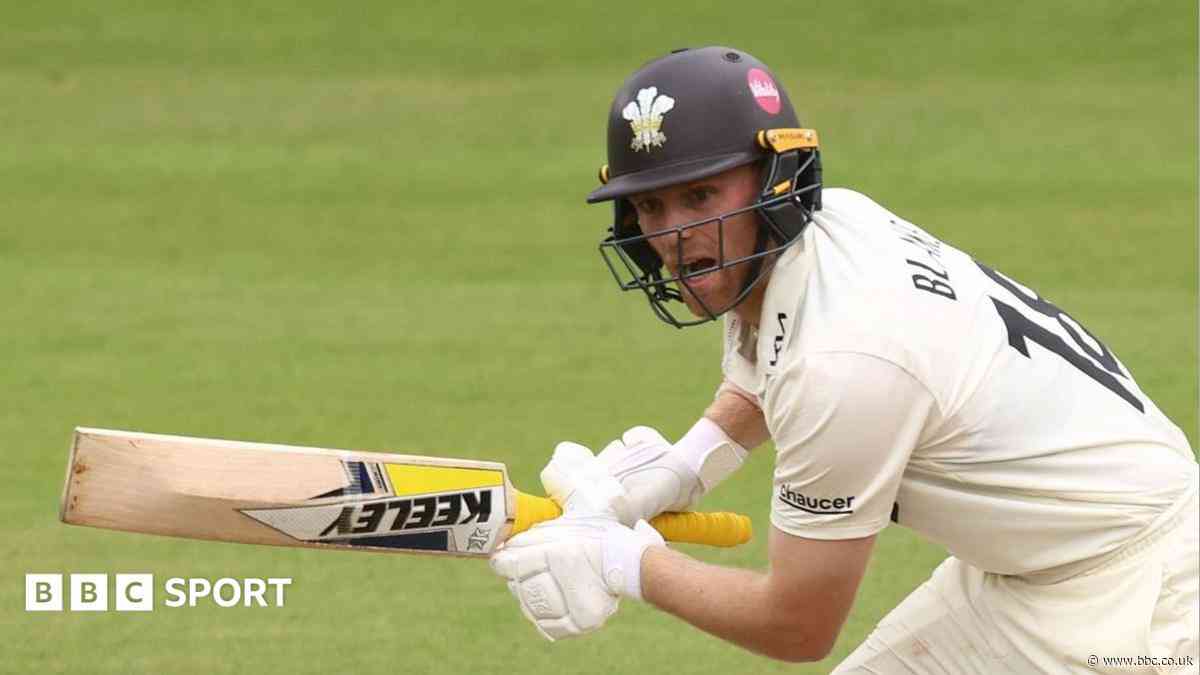 Leics sign wicketkeeper Blake from Surrey