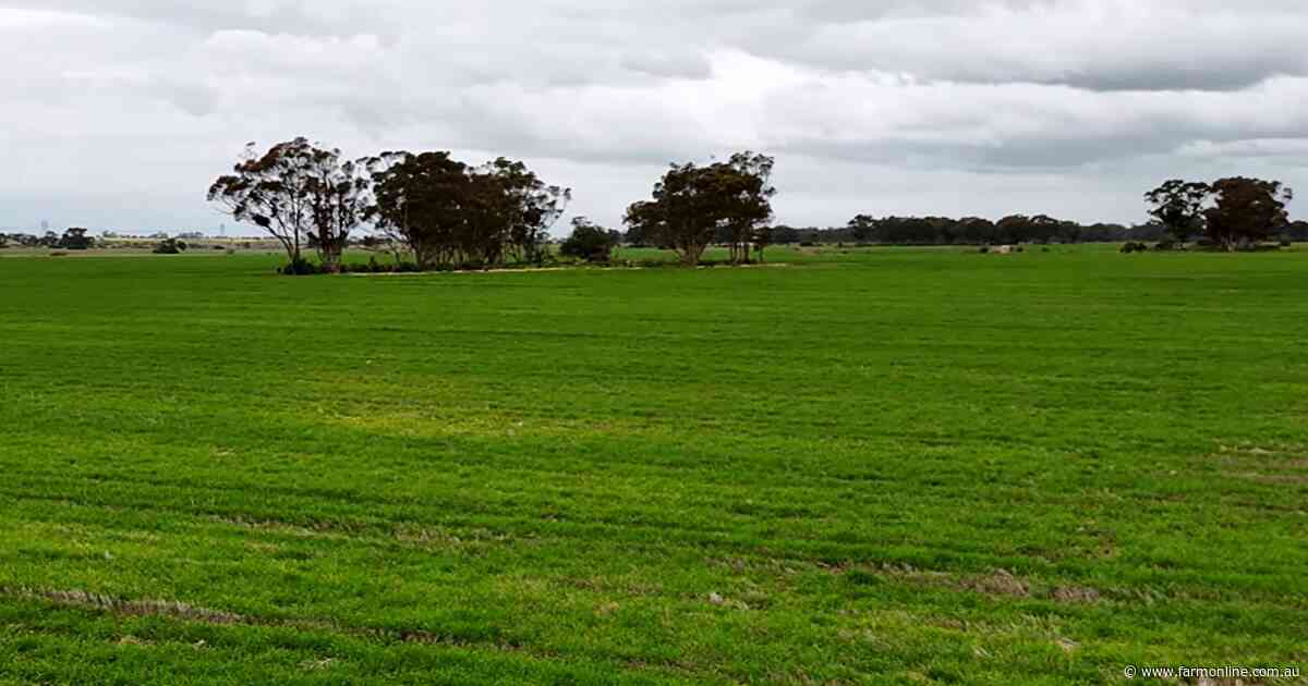 Farm sale near Melton offers AI data centre appeal to buyers