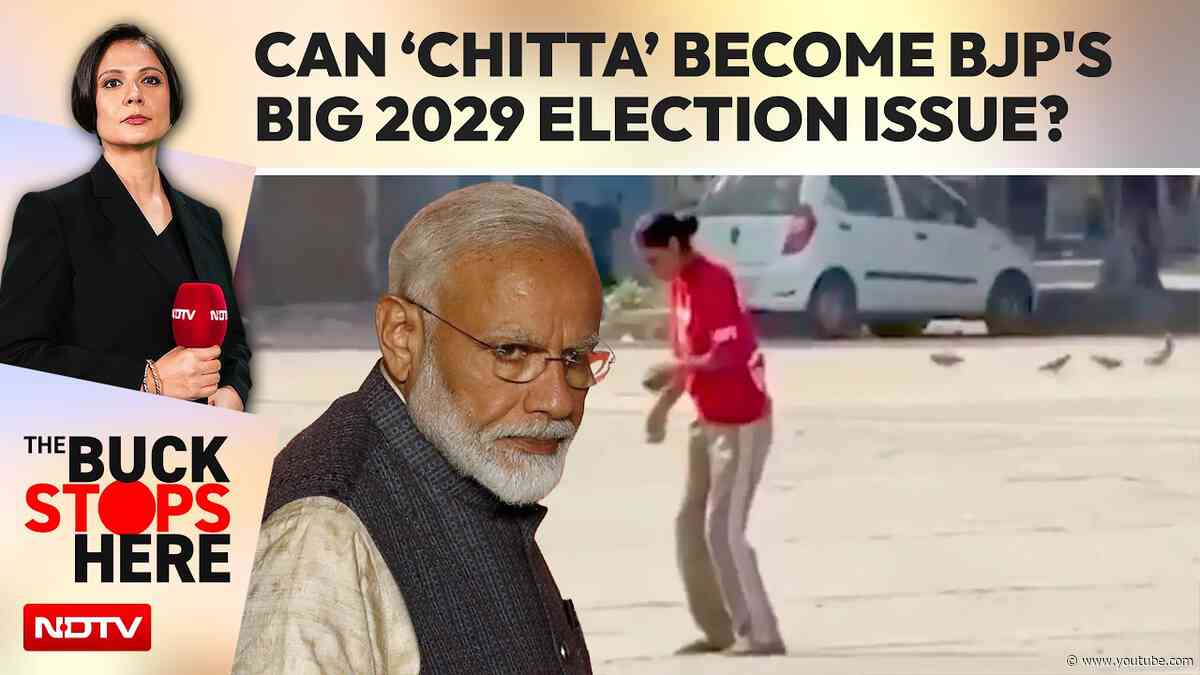 Punjab Elections | Punjab Drugs Row: Can Chitta Become BJP's Big 2029 Election Issue?