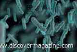 Mysterious Cocoliztli Epidemics Killed Millions Across Mexico, but Historical Causes Remain Debated