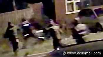 Chilling moment gang corner man, 21, 'like pack of animals' and stab him to death - as killers caught trying to flee the country are jailed for total of more than 100 years