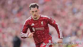 Alan Shearer unsure on Florian Wirtz at Liverpool as Jurgen Klopp verdict given