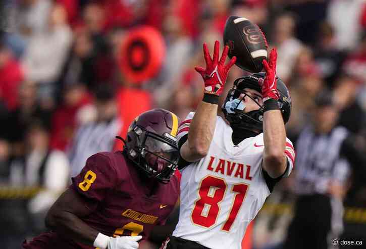The Concordia Stingers took a real beating against Laval University’s Rouge et Or