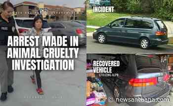 Elderly woman arrested after allegedly luring and running over her own puppy in Santa Ana