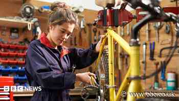 Greens would offer two-year jobs to unemployed under-24s