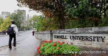 Rector Cornell University belooft maatregelen na heropening zaak groepsverkrachting