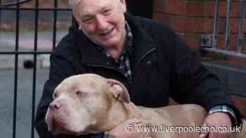 Nightmare neighbour could have burned my house down with me and my XL bully Lenny inside