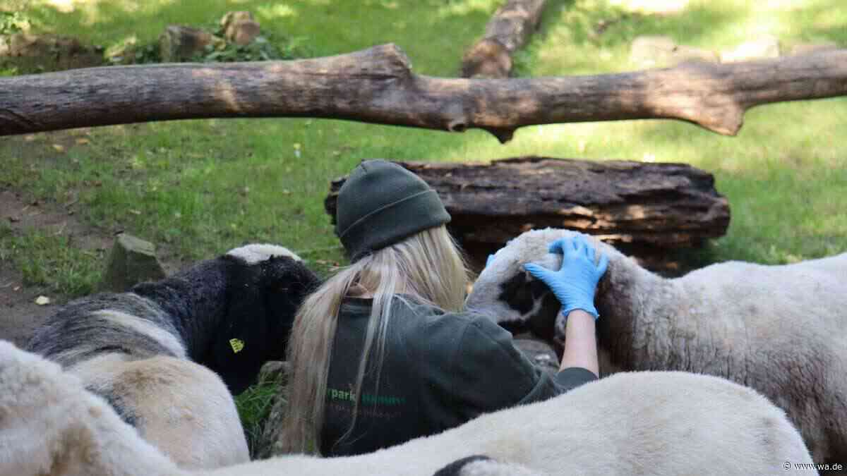 Hinter den Kulissen: So arbeitet der Tierpark Hamm für den Artenschutz