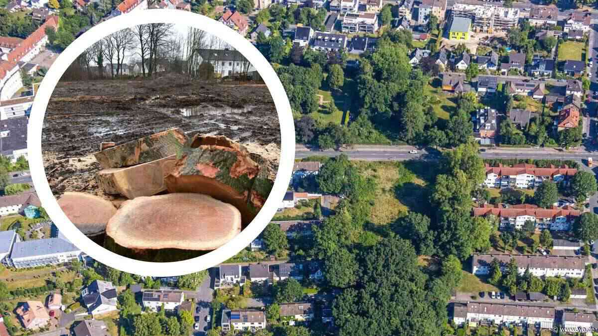 Mehrfamilienhaus nach Rodung verhindert: Im Grünzug allenfalls noch Gartenhütten möglich