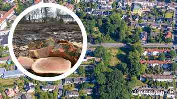 Mehrfamilienhaus nach Rodung verhindert: Im Grünzug allenfalls noch Gartenhütten möglich