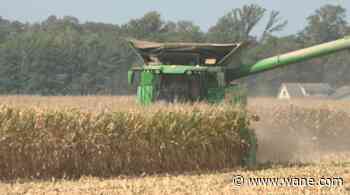 Too much rain doesn't make grain: Northeast Indiana harvest 2026 outlook