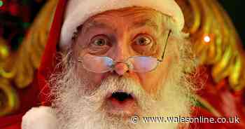 The extraordinary corner of a Welsh industrial estate where it's already Christmas