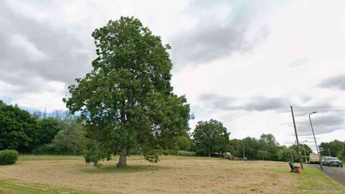 Residents furious as village green set to be destroyed for new homes