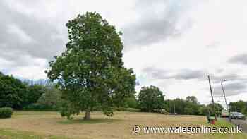 Residents furious as village green set to be destroyed for new homes