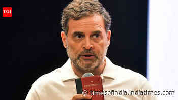 ‘He was so scared’: SP MP on ally Rahul Gandhi skipping Amethi in 2024 Lok Sabha polls