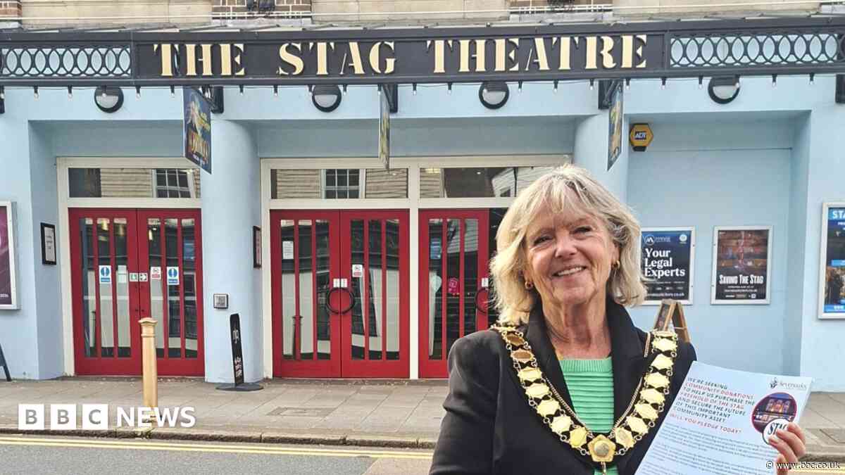 Town pledges over £117k in bid to buy Stag Theatre