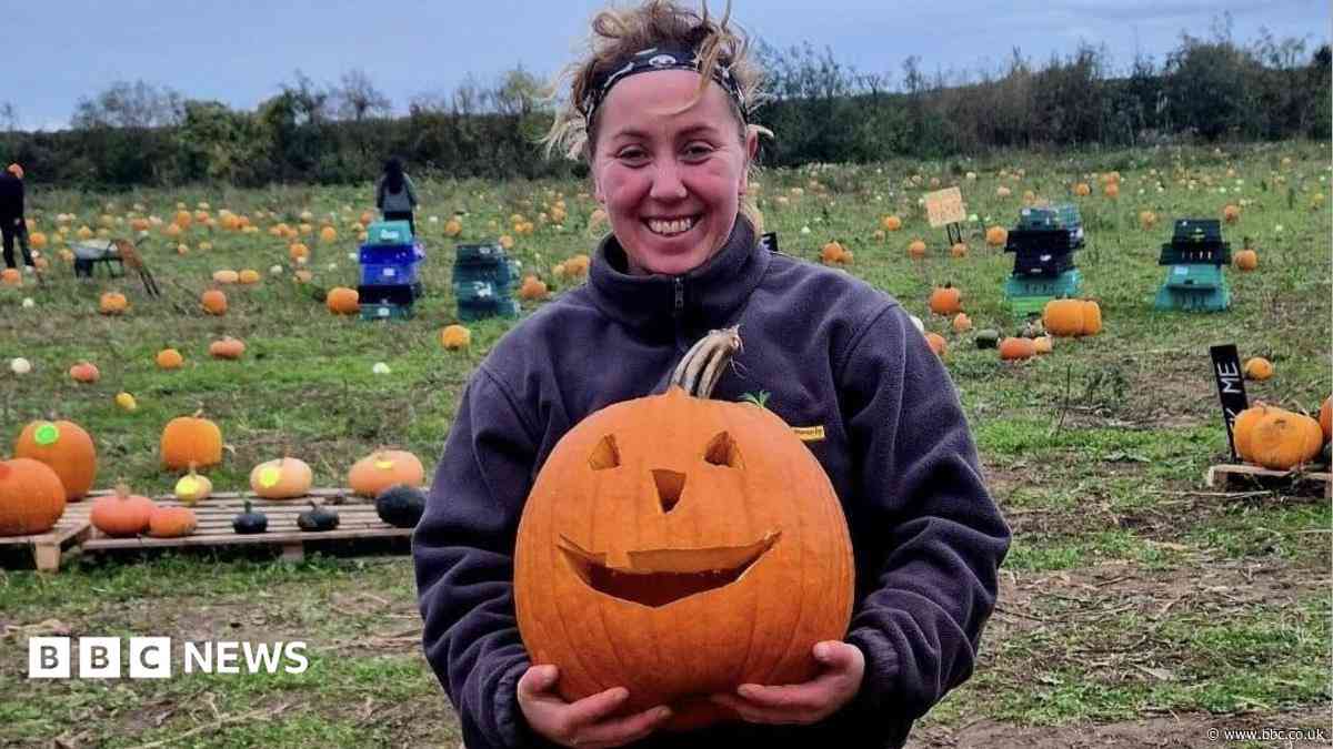 Dry weather forces pumpkin picking fields to close