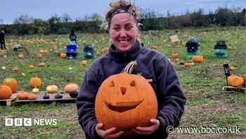 Dry weather forces pumpkin picking fields to close