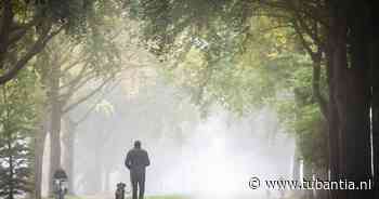 Code geel voor dichte mist op meerdere plaatsen in het land: ‘Minder dan 100 meter zicht’