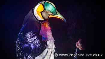 Chester Zoo winter light trail returns for 42 nights - how to book