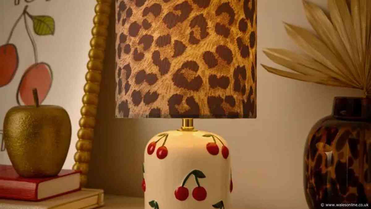 'Quirky' leopard print lamp gets lots of compliments and can be grabbed for 'free'