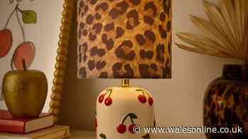 'Quirky' leopard print lamp gets lots of compliments and can be grabbed for 'free'
