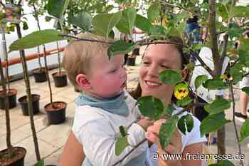 Grüne Willkommensgeschenke: In Limbach-Oberfrohna bekommt jedes Baby einen Apfelbaum