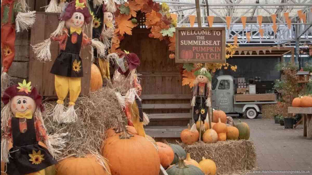 The Greater Manchester garden centre with a free indoor pumpkin patch and children's trail