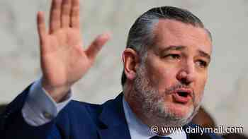 GOP race for president heats up as Ted Cruz hits back at 'insecure' JD Vance over claims Texas senator is 'really obviously' gunning for top job