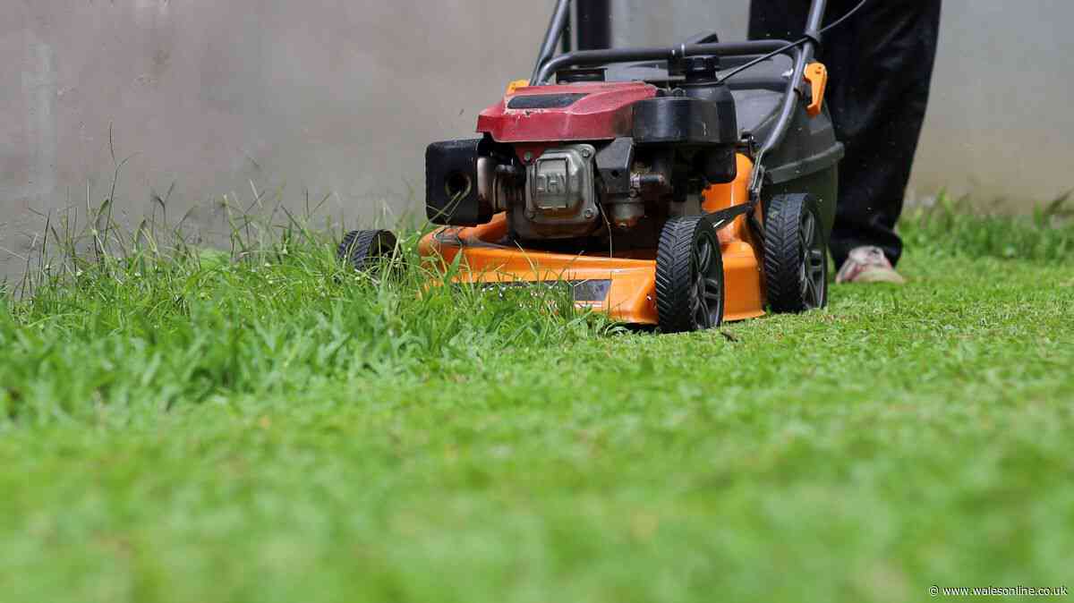 When to stop cutting the grass in 2026 confirmed by expert with RHS data