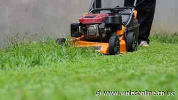 When to stop cutting the grass in 2026 confirmed by expert with RHS data