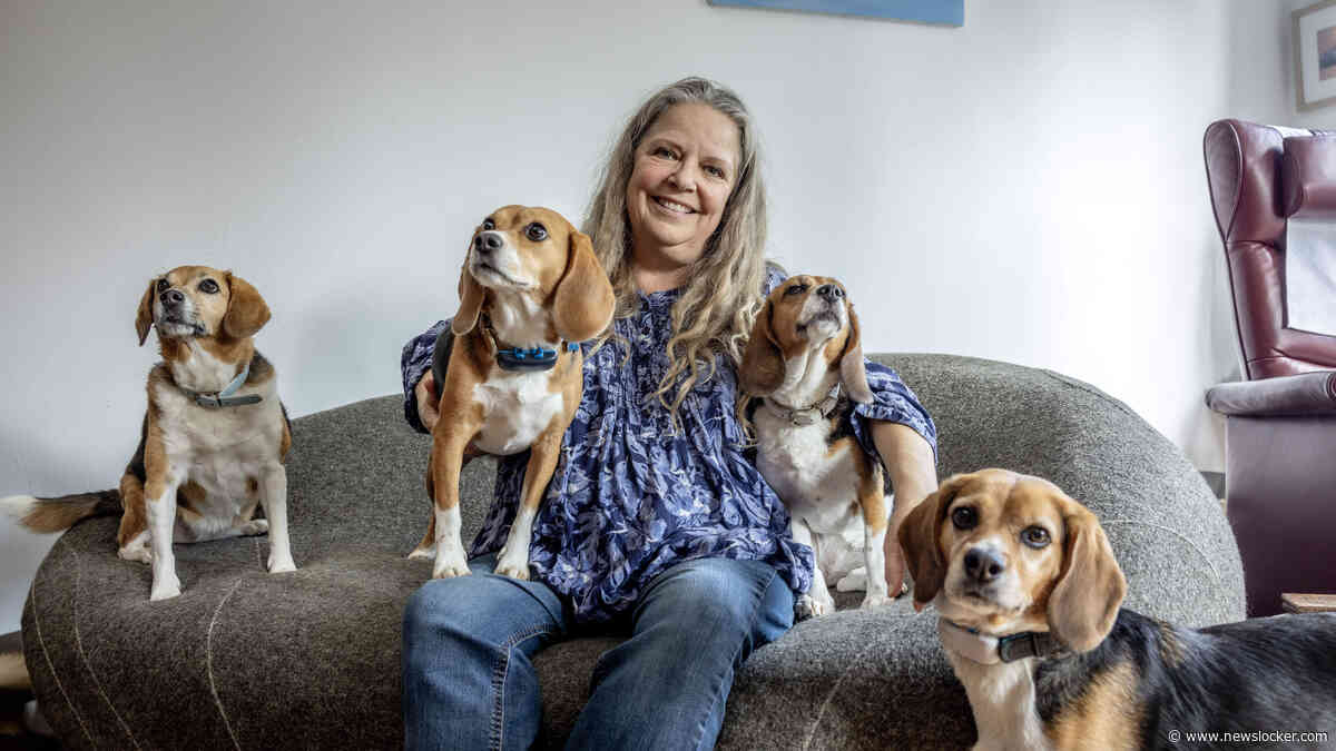 Mascha adopteerde vier ex-lab Beagles: ’Luna was nog nooit buiten geweest’