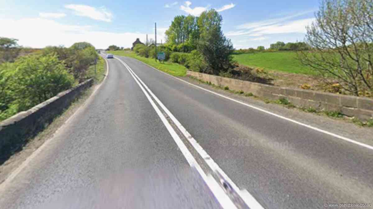 Near £40,000 contract award will pay for repairs to A171 bridge structure