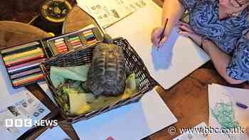 Animals bring budding artists out of their shells
