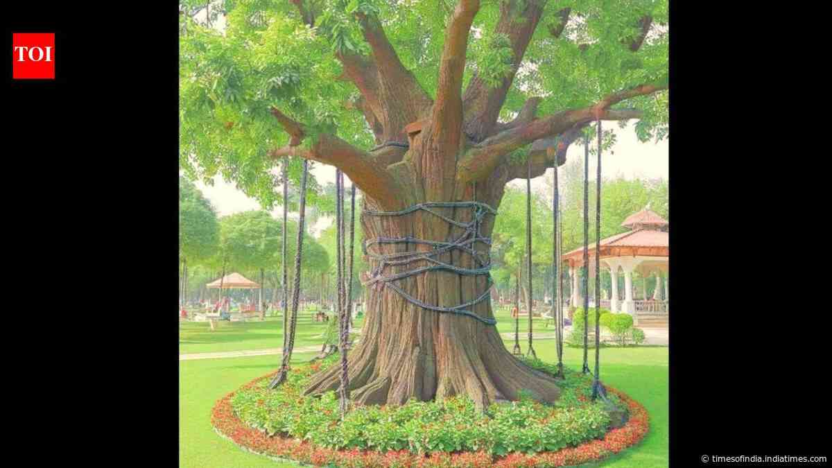 A banyan tree in Pakistan has been chained and ‘arrested’ since 1898