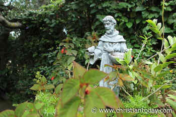 800 years on: Why St Francis of Assisi still captivates the world
