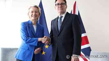 Tories 'will reverse any moves by Andy Burnham to unwind Brexit' - as Labour's Remainer push gathers pace