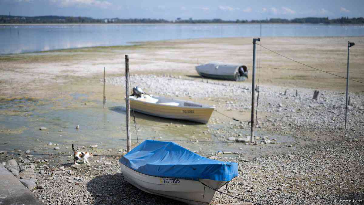 Dürre und Niedrig-Pegelstände: Umweltminister fordert "anderen Umgang mit Wasser"
