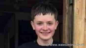 Police concerned about missing boy not seen for days