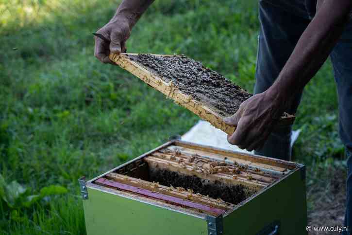 Culy ontdekt: de beste honing, hazelnootpasta en jam komt uit dit Italiaanse familiebedrijf