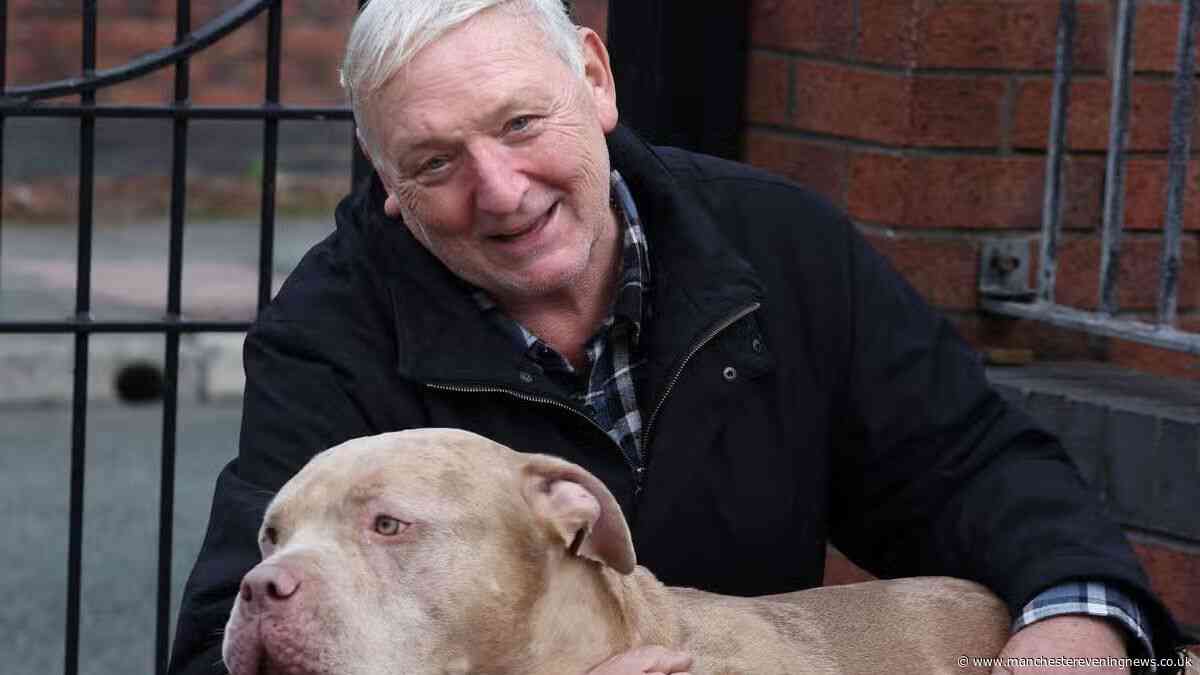 Nightmare neighbour caught trying to burn pensioner's house down with him and XL bully inside