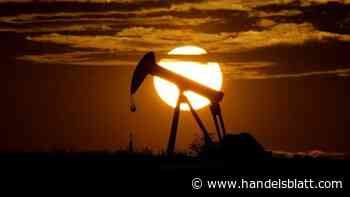 Öl: Opec plus will Förderziele für November offenbar beibehalten