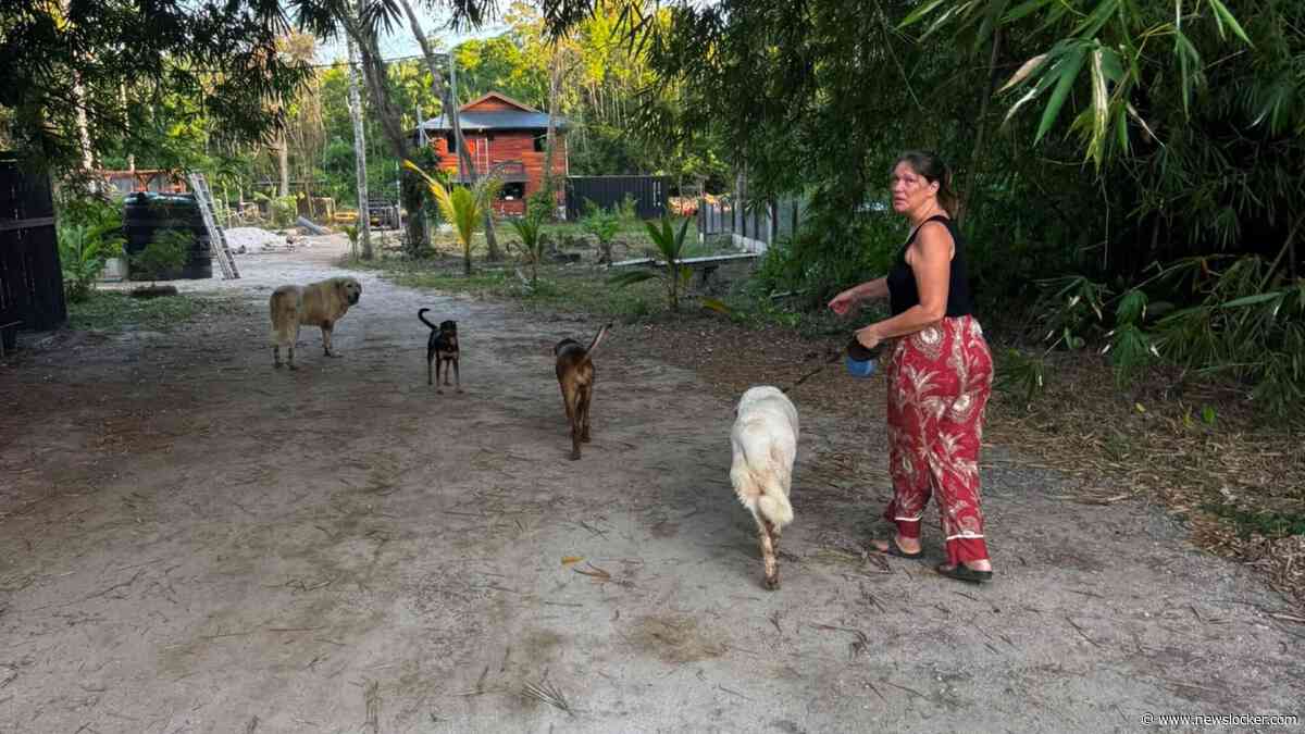 Valeska (55) heeft een dierenopvang in Suriname: ’Onze dochters willen graag hierheen komen, maar sparen nog voor de reis’