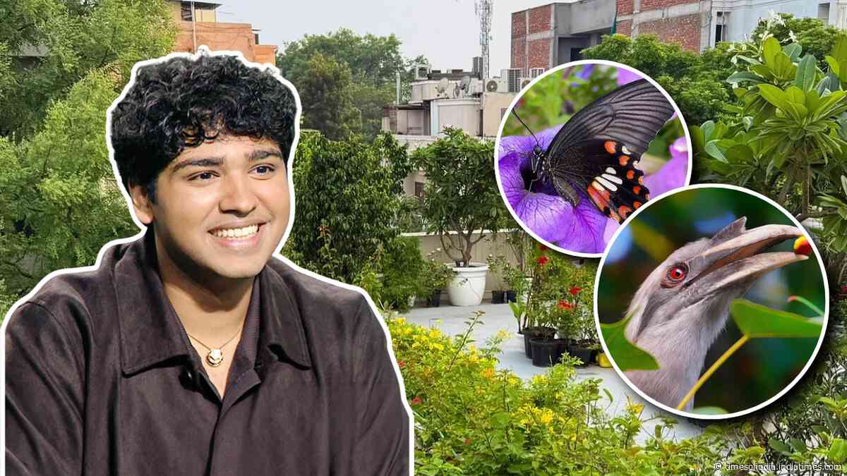 This Delhi terrace has more than 500 plants and attracts 100+ bird species and 25+ butterflies