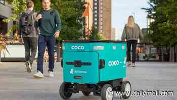 Deliveroo to roll out food delivery robots in parts of Britain - but boss insists they're not getting rid of human riders