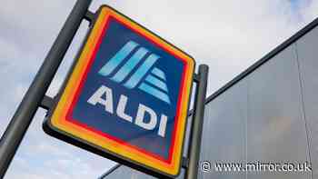 New Aldi £10 'professional' jacket that 'keeps you warm' similar to £30 B&Q version