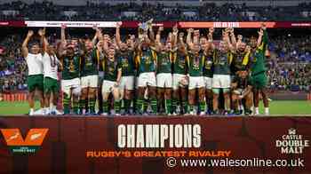 Springboks accused and World Rugby told to step in as meeting called this week