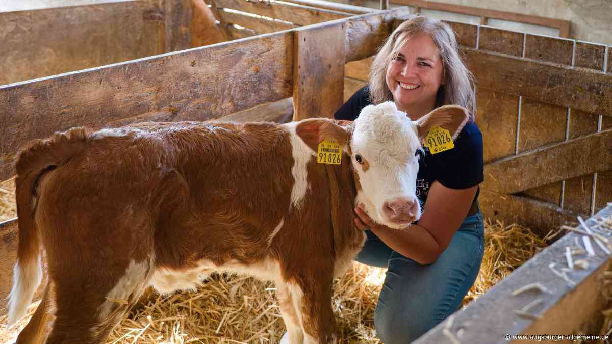 „Weil i des gern mog“: Jungbäuerin Martina Reichhold lebt in Stockensau Landwirtschaft mit Herz